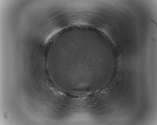 X0000100400919200806131010