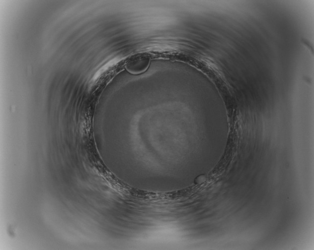 X0000100400920200806131010