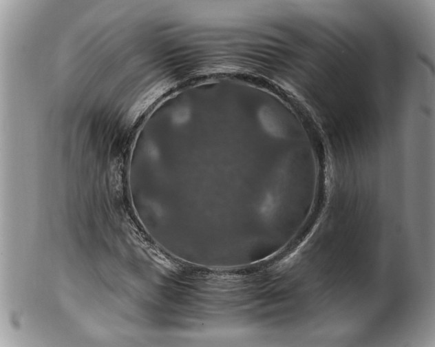 X0000100400921200806131010