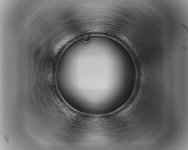 X0000100400922200806131010