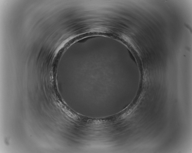 X0000100400923200806131010