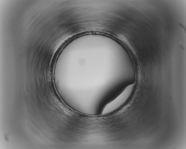 X0000100400924200806131010
