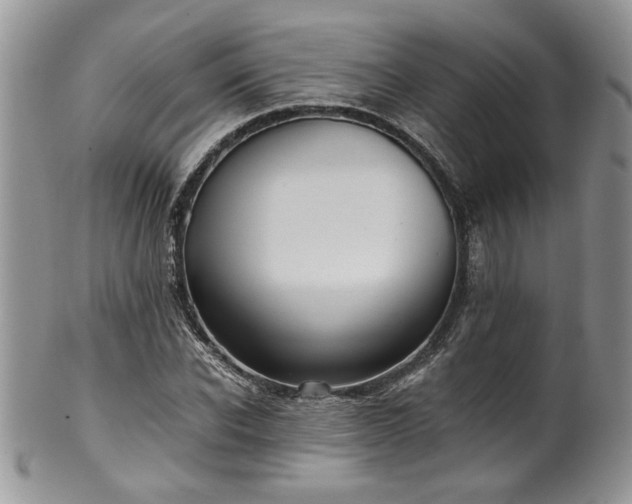 X0000100400926200806131010