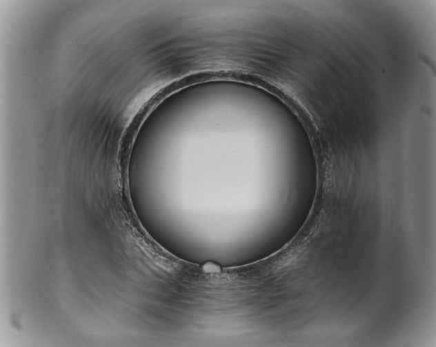 X0000100400927200806131010