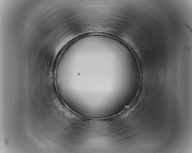 X0000100400928200806131010