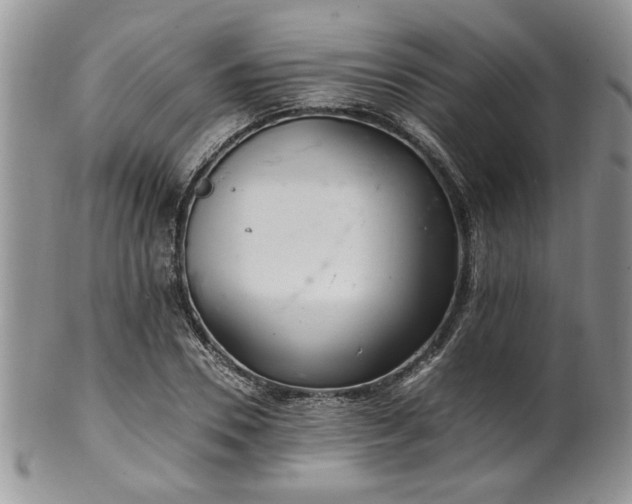 X0000100400930200806131010