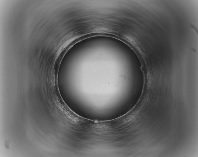 X0000100400931200806131010