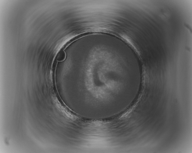 X0000100400932200806131010