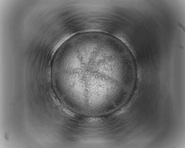 X0000100400933200806131010