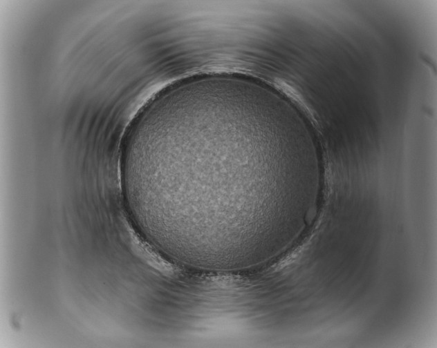 X0000100400934200806131010