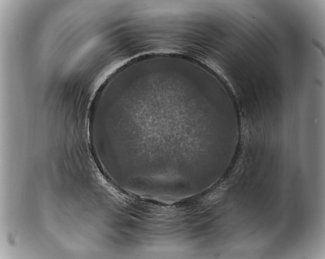 X0000100400935200806131010