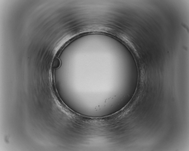 X0000100400936200806131010