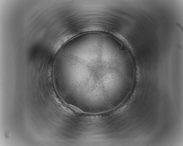 X0000100400937200806131010