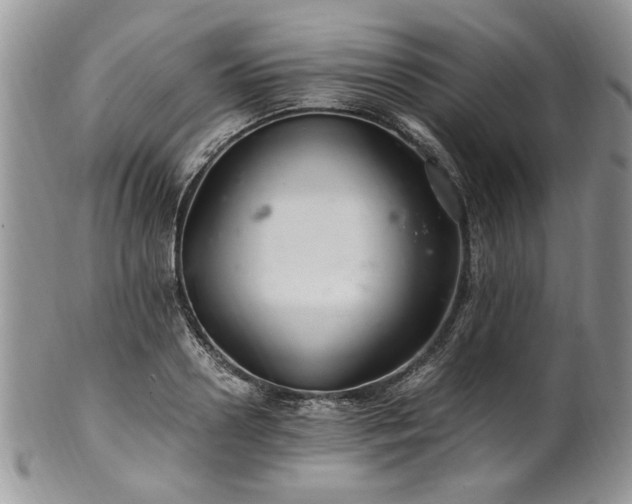 X0000100400938200806131010