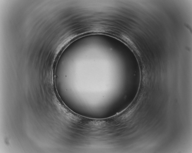 X0000100400939200806131010