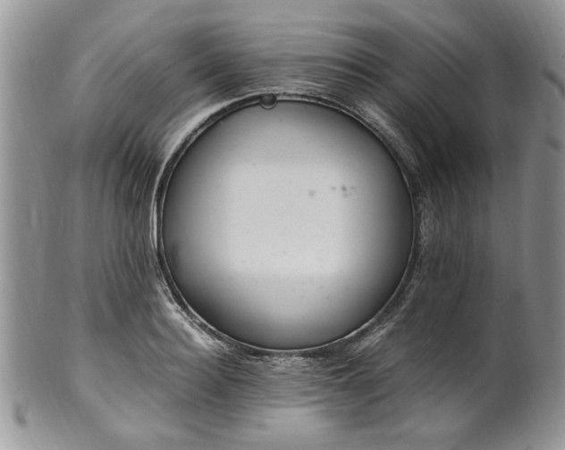X0000100400940200806131010