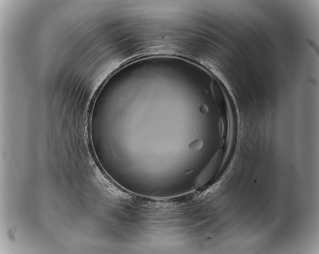 X0000100400941200806131010