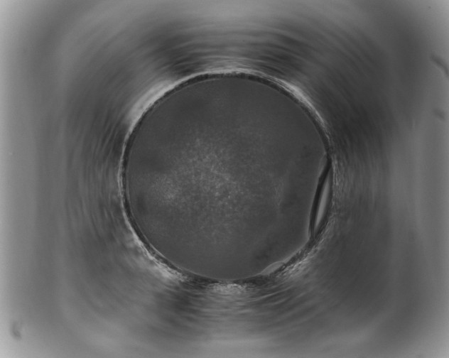 X0000100400943200806131010