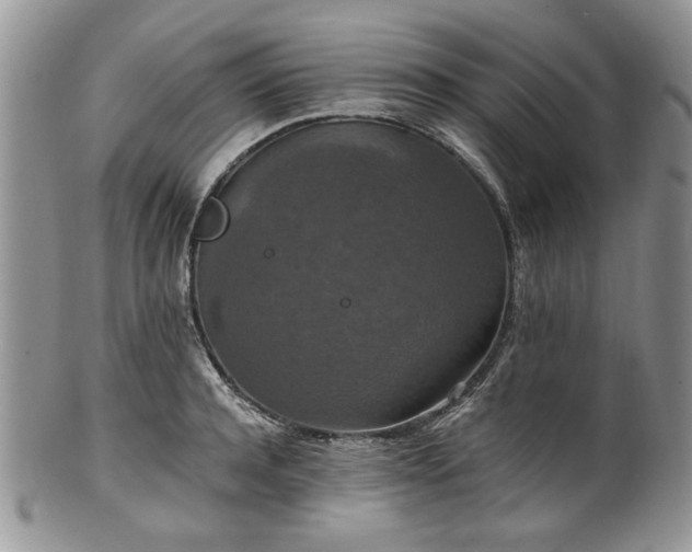 X0000100400944200806131010