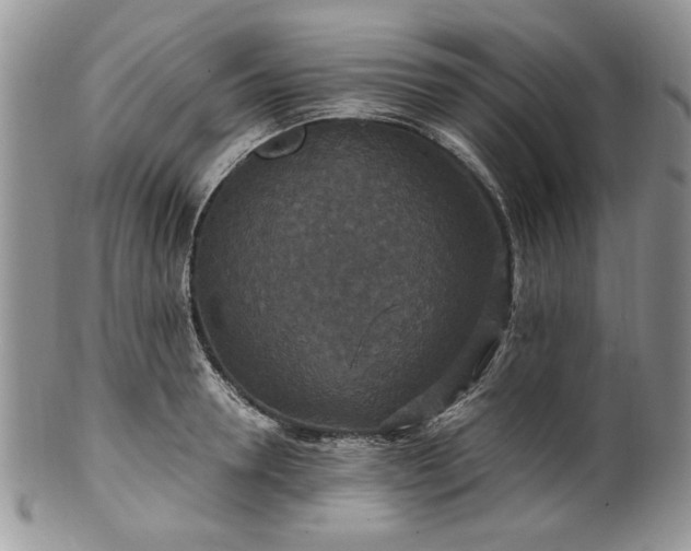 X0000100400946200806131011