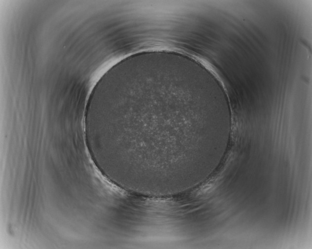 X0000100400951200806131011