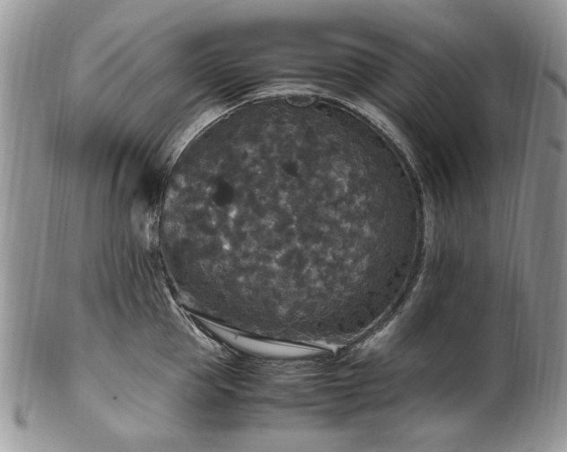 X0000100400953200806131011