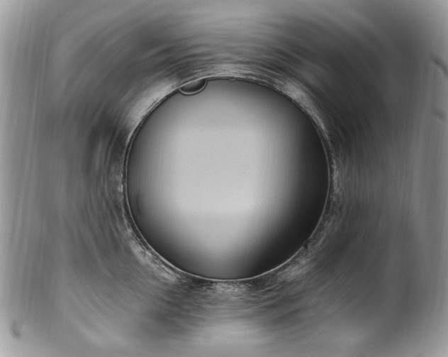 X0000100400954200806131011