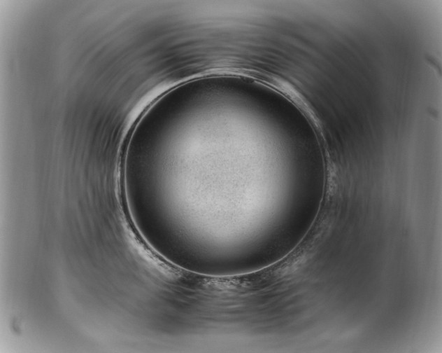X0000100400955200806131011