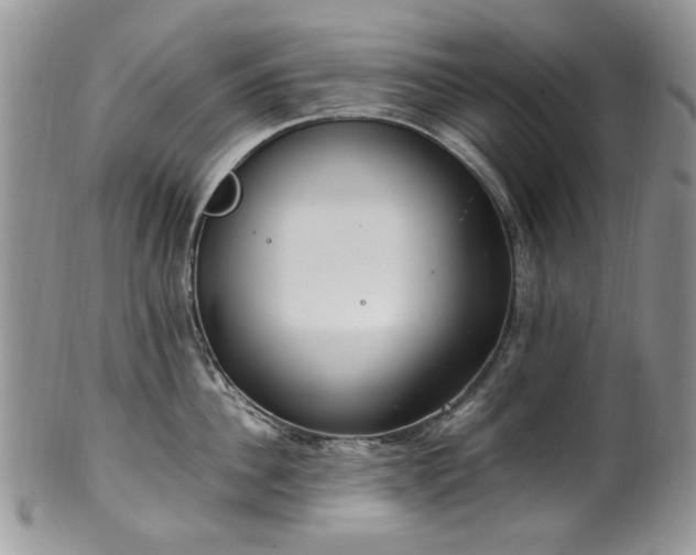 X0000100400956200806131011