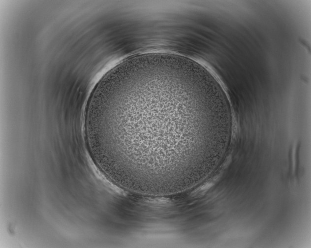 X0000100400957200806131011