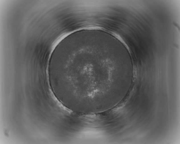 X0000100400959200806131011