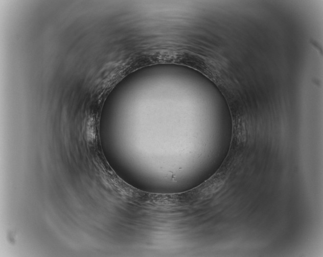 X0000100400962200806131010