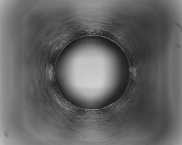 X0000100400963200806131010