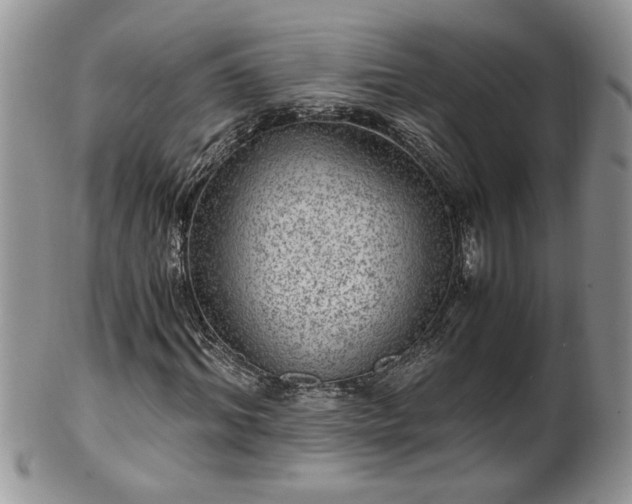 X0000100400964200806131010