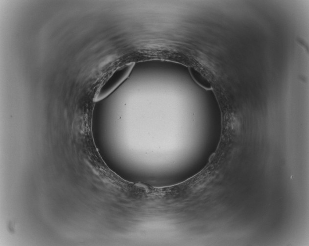 X0000100400965200806131010