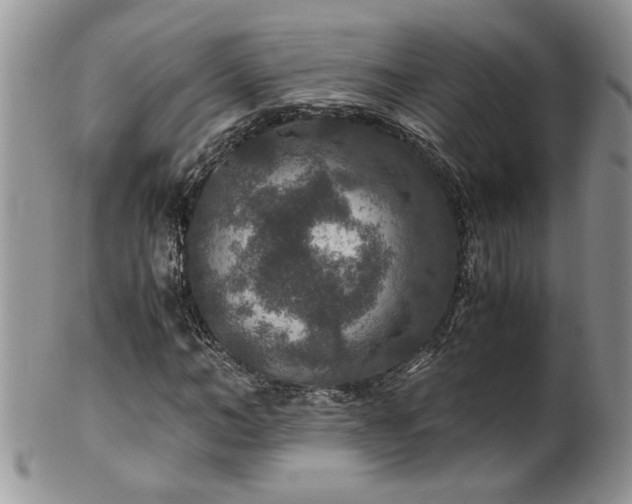 X0000100400966200806131010