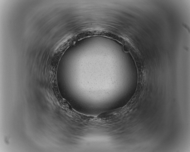 X0000100400967200806131010