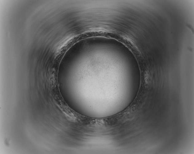 X0000100400968200806131010