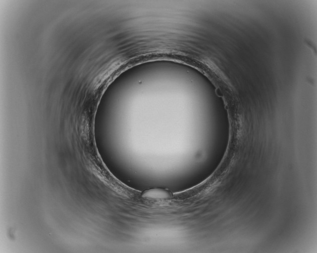 X0000100400969200806131010