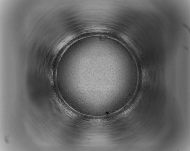 X0000100400970200806131010