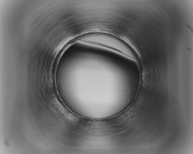 X0000100400972200806131010