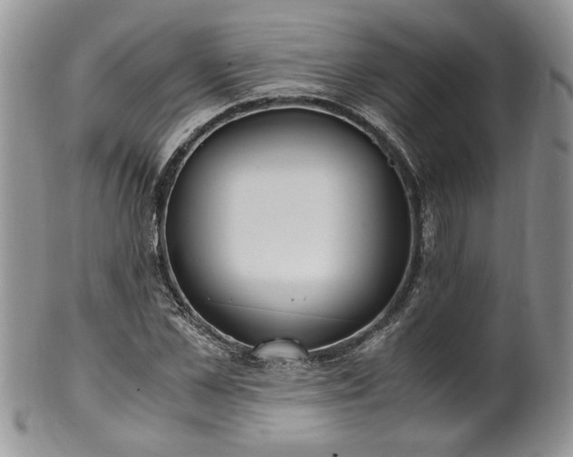 X0000100400973200806131010