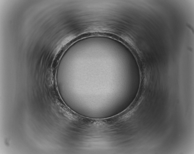 X0000100400974200806131010