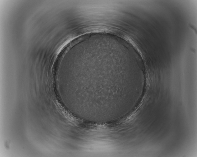 X0000100400975200806131010