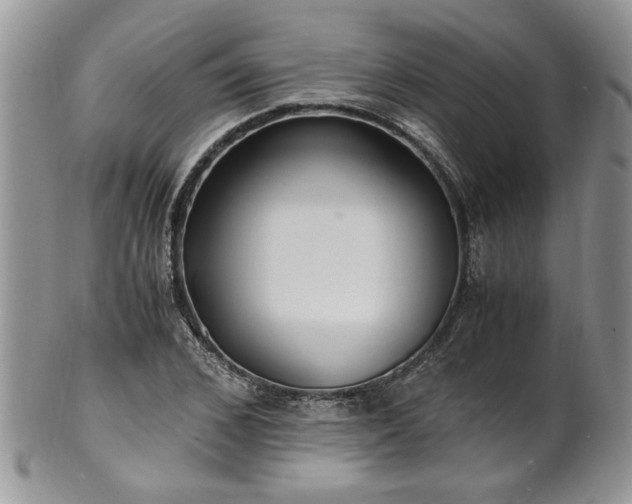 X0000100400976200806131010