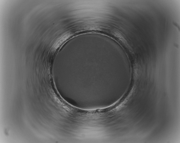 X0000100400977200806131010