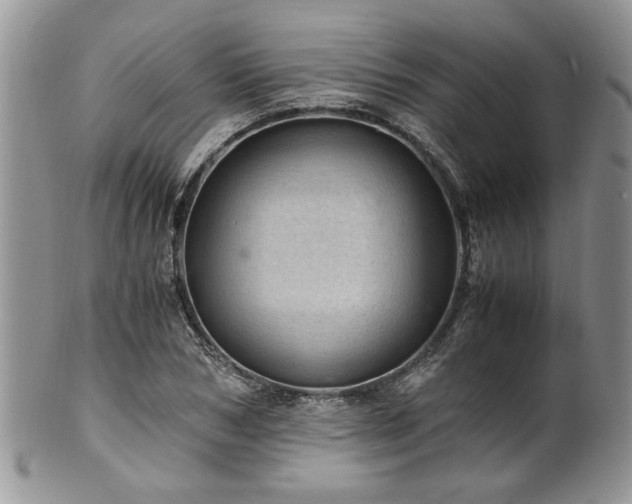 X0000100400978200806131010
