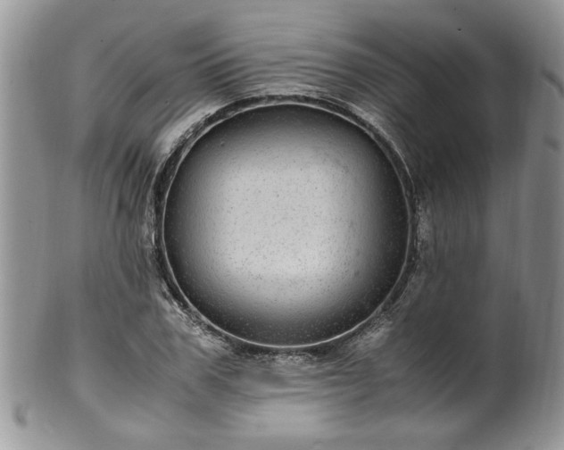 X0000100400979200806131010