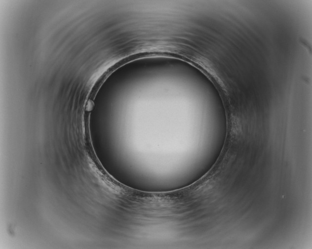 X0000100400980200806131010