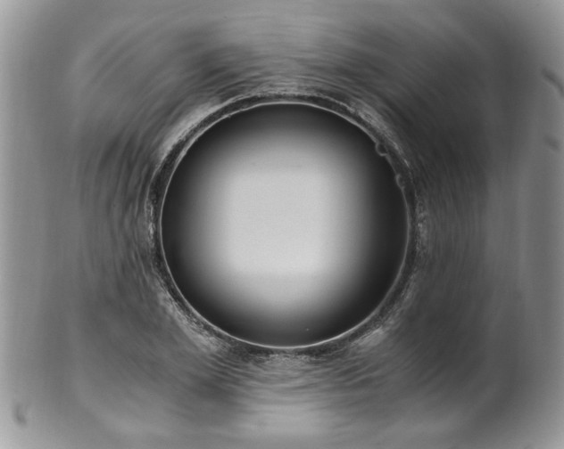 X0000100400981200806131010
